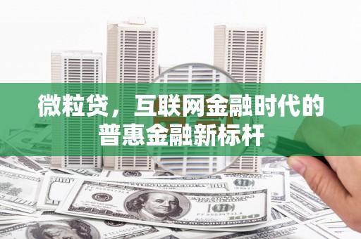 将乐微粒贷，互联网金融时代的普惠金融新标杆