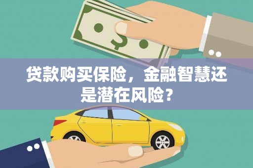 将乐贷款购买保险，金融智慧还是潜在风险？