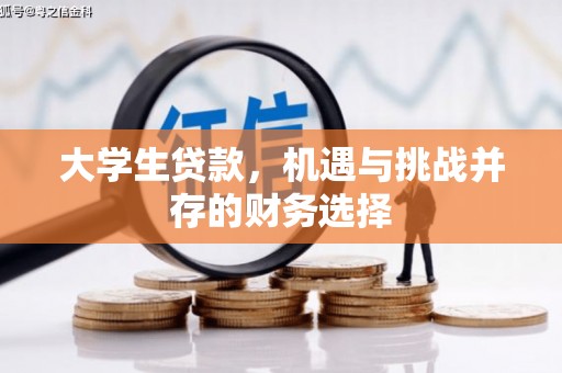 将乐大学生贷款，机遇与挑战并存的财务选择