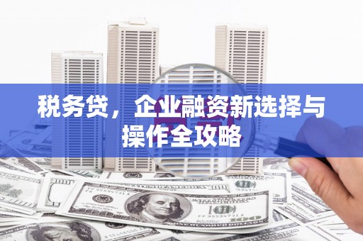 将乐税务贷，企业融资新选择与操作全攻略