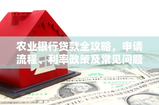 将乐农业银行贷款全攻略，申请流程、利率政策及常见问题解析