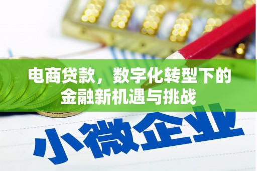 将乐电商贷款，数字化转型下的金融新机遇与挑战