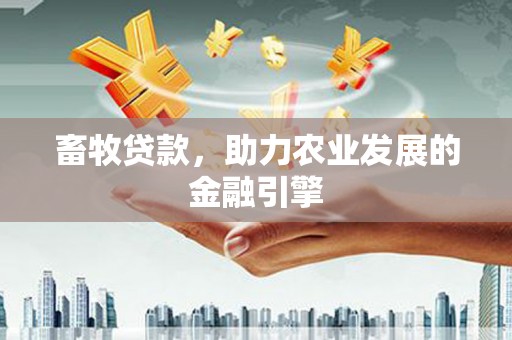 将乐畜牧贷款，助力农业发展的金融引擎