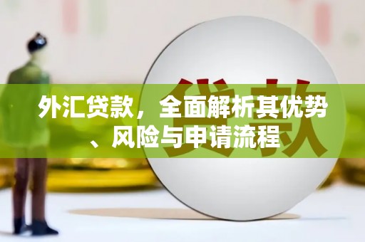 将乐外汇贷款，全面解析其优势、风险与申请流程