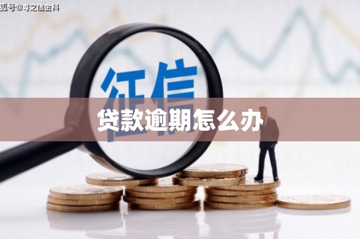 将乐贷款逾期怎么办