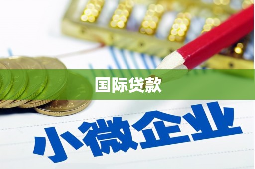 将乐国际贷款