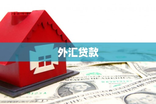 将乐外汇贷款
