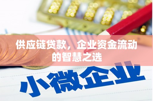 将乐供应链贷款，企业资金流动的智慧之选