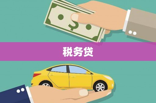 将乐税务贷