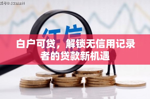 将乐白户可贷，解锁无信用记录者的贷款新机遇