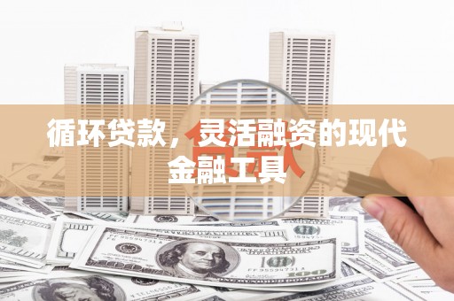 将乐循环贷款，灵活融资的现代金融工具