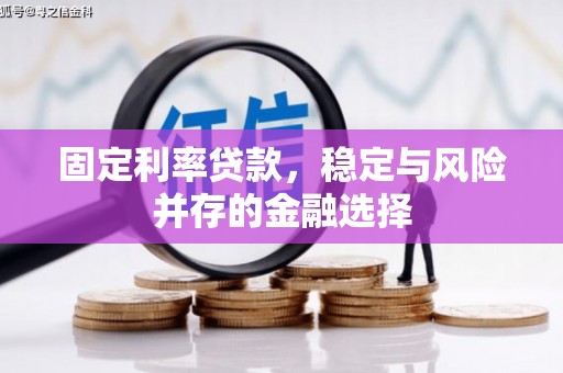 将乐固定利率贷款，稳定与风险并存的金融选择