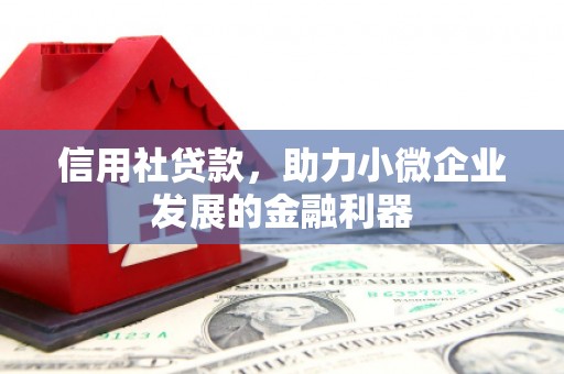 将乐信用社贷款，助力小微企业发展的金融利器