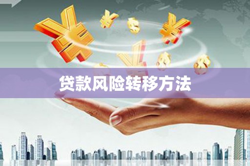将乐贷款风险转移方法