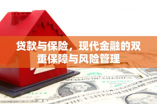 将乐贷款与保险，现代金融的双重保障与风险管理