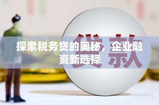 将乐探索税务贷的奥秘，企业融资新选择