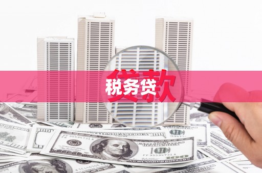 将乐税务贷