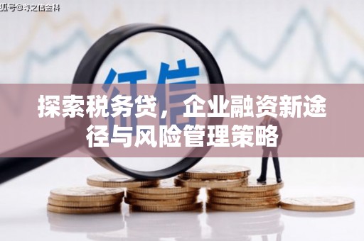将乐探索税务贷，企业融资新途径与风险管理策略