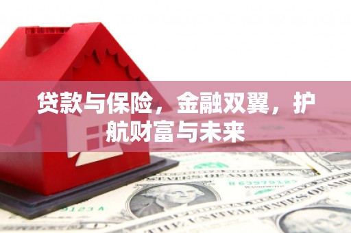 将乐贷款与保险，金融双翼，护航财富与未来