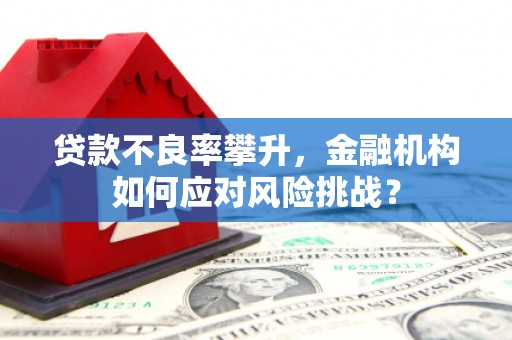 将乐贷款不良率攀升，金融机构如何应对风险挑战？
