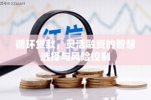 将乐循环贷款，灵活融资的智慧选择与风险控制