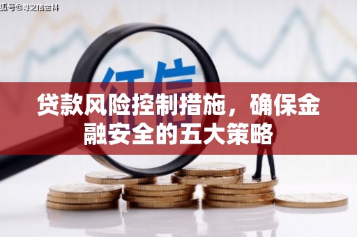 将乐贷款风险控制措施，确保金融安全的五大策略