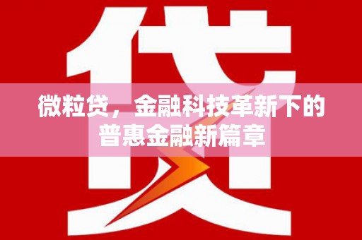 将乐微粒贷，金融科技革新下的普惠金融新篇章