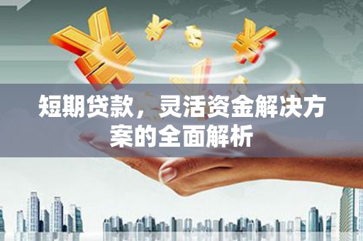 将乐短期贷款，灵活资金解决方案的全面解析