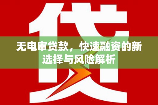 将乐无电审贷款，快速融资的新选择与风险解析