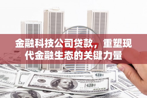 将乐金融科技公司贷款，重塑现代金融生态的关键力量