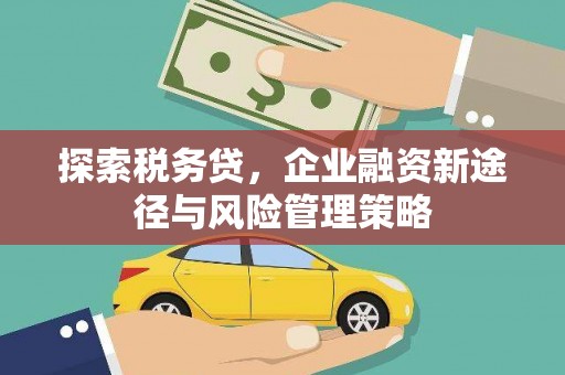 将乐探索税务贷，企业融资新途径与风险管理策略