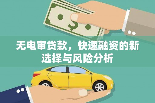 将乐无电审贷款，快速融资的新选择与风险分析