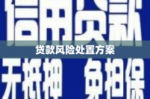 将乐贷款风险处置方案