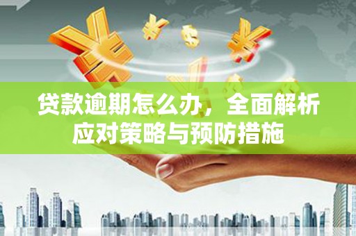 将乐贷款逾期怎么办，全面解析应对策略与预防措施