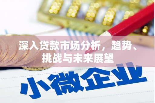 将乐深入贷款市场分析，趋势、挑战与未来展望