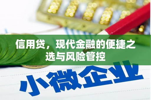 将乐信用贷，现代金融的便捷之选与风险管控