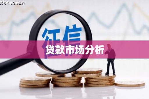 将乐贷款市场分析
