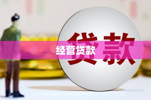 将乐经营贷款