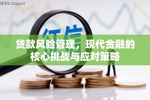 将乐贷款风险管理，现代金融的核心挑战与应对策略