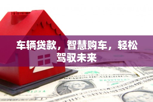 将乐车辆贷款，智慧购车，轻松驾驭未来