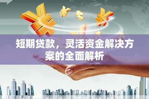 将乐短期贷款，灵活资金解决方案的全面解析