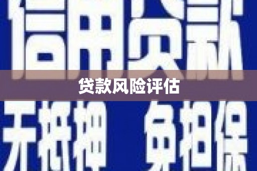 将乐贷款风险评估