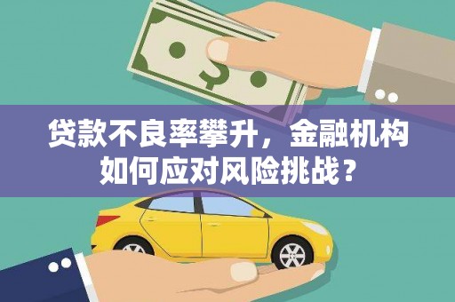 将乐贷款不良率攀升，金融机构如何应对风险挑战？