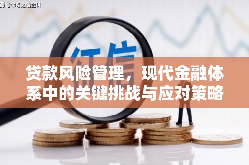 将乐贷款风险管理，现代金融体系中的关键挑战与应对策略