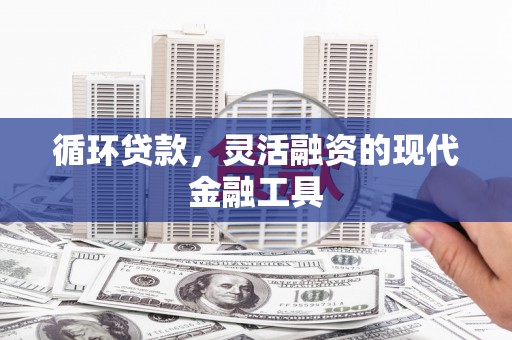 将乐循环贷款，灵活融资的现代金融工具