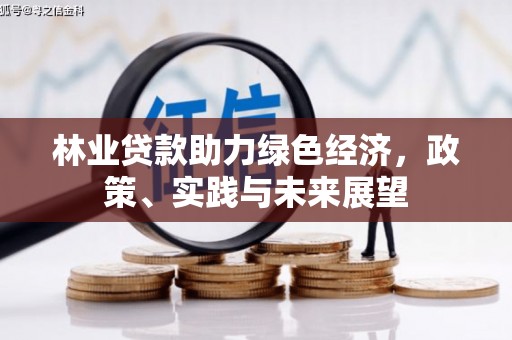 将乐林业贷款助力绿色经济，政策、实践与未来展望