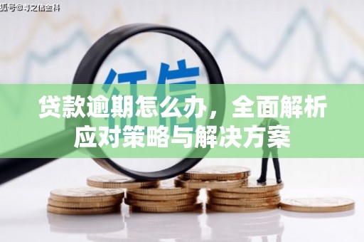 将乐贷款逾期怎么办，全面解析应对策略与解决方案