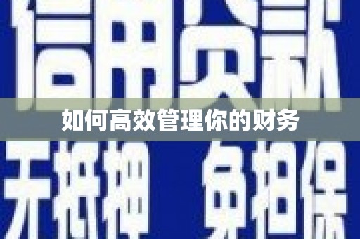 将乐如何高效管理你的财务