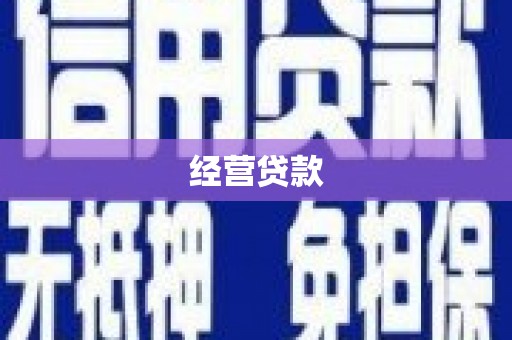 将乐经营贷款